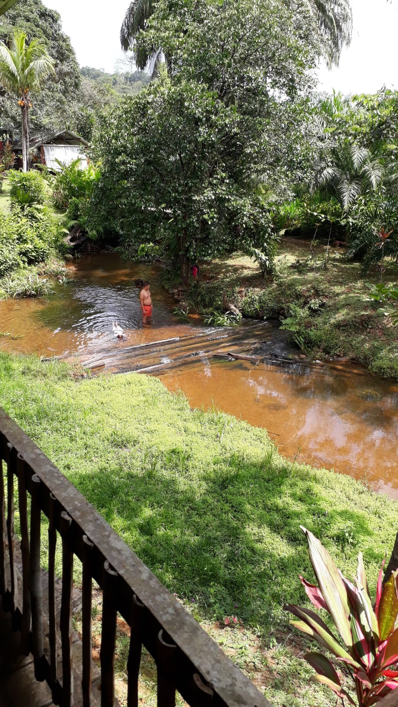 Weekend « bouillon d’awara » GUYANE TREK
